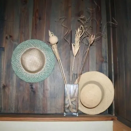House Lilas Blanc * Brocas